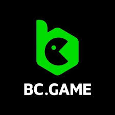 BC.GAME Gambling Enterprise Testimonial